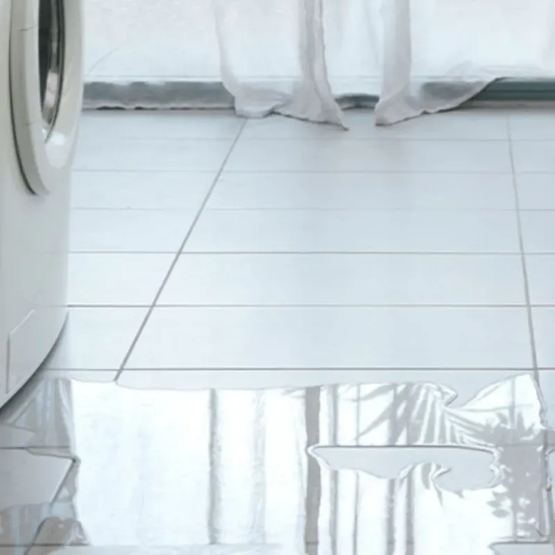 Appliance Leak Cleanup in Washington County, KY