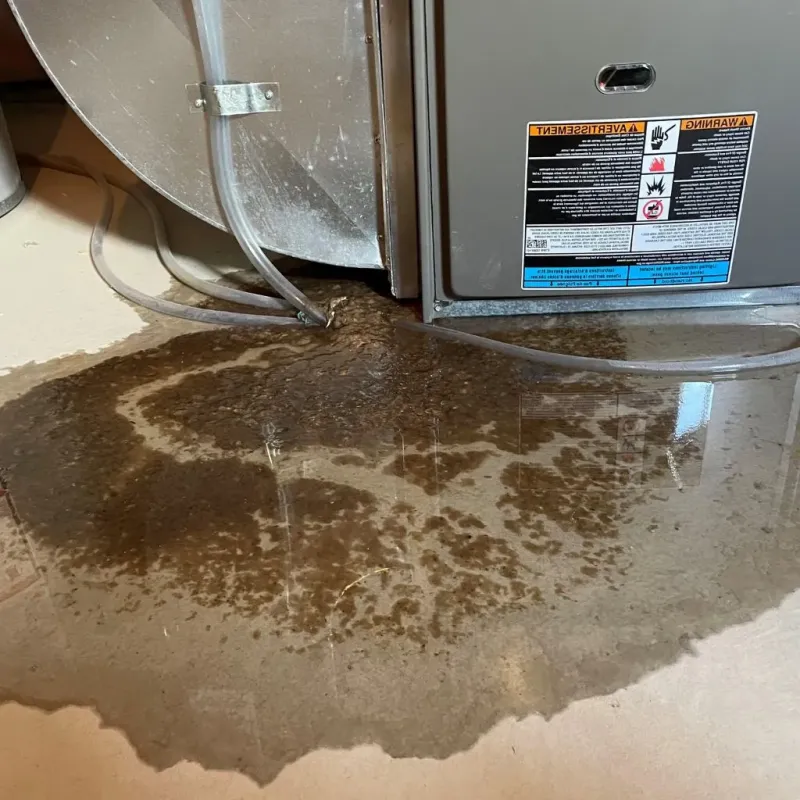 Pipe Burst and Leak Restoration in Washington County, KY